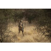 Un soldat patrouille dans une forêt du Liptako, au Niger.