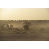 Un véhicule blindé léger (VBL) suivi de deux pick-ups nigériens de la 112e compagnie de sécurité et d'intervention (CSI) progessent en convoi dans le secteur du Liptako, au Niger.