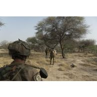 Des gendarmes nigériens ratissent une zone boisée du secteur de Ouallam, au Niger.