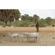 Un marsouin du 21e régiment d'infanterie de marine (RPIMa) sécurise un axe en périphérie de Gao, au Mali.