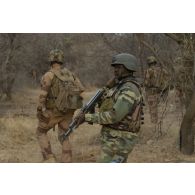 Un gendarme nigérien accompagne des marsouins du 3e régiment parachutiste d'infanterie de marine (RPIMa) pour ratisser une zone boisée dans le secteur de Ouallam, au Niger.