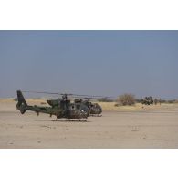 Des hélicoptères Gazelle SA-342M1 et SA-342L1 stationnent sur une zone de poser d'hélicoptères dans le secteur du Liptako, au Niger.