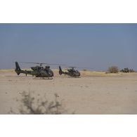 Des hélicoptères Gazelle SA-342M1 et SA-342L1 stationnent sur une zone de poser d'hélicoptères dans le secteur du Liptako, au Niger.