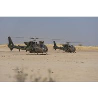 Des hélicoptères Gazelle SA-342M1 et SA-342L1 stationnent sur une zone de poser d'hélicoptères dans le secteur du Liptako, au Niger.