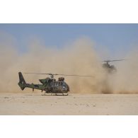 Des hélicoptères Gazelle SA-342M1 et SA-342L1 décollent depuis une zone de poser d'hélicoptères dans le secteur du Liptako, au Niger.