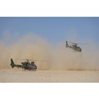 Des hélicoptères Gazelle SA-342M1 et SA-342L1 décollent depuis une zone de poser d'hélicoptères dans le secteur du Liptako, au Niger.