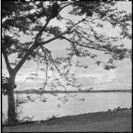 Quelques aspects du Bas et du Moyen-Laos : vie quotidienne, architecture et paysages.