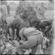 Aussitôt après le sacrifice du buffle, la curée.