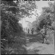 Progression d'un convoi d'éléphants sous la protection de la 2e compagnie du 6e bataillon montagnard sur une piste bordée de bosquets.