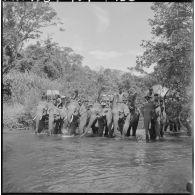 Un convoi d'éléphants franchit la rivière d'Ea M'Doal (district de M'Drak).