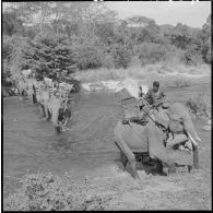 Un convoi d'éléphants franchit la rivière d'Ea M'Doal (district de M'Drak).
