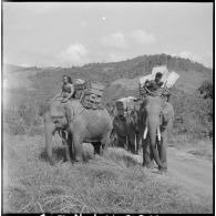 Convoi d'éléphants transportant des caisses sous la protection de la 2e compagnie du 6e bataillon montagnard.
