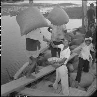 Distribution des témoins par sac de sel transporté.