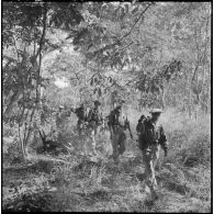 Des chasseurs de la 6e compagnie du 2e bataillon Lao progressent dans la forêt tropicale au cours de l'opération Pakha, dans la province d'Attapeu.