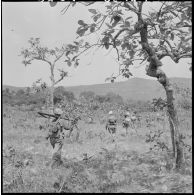 Progression du 2e bataillon de chasseurs laotiens (2e BCL) en clairière.