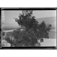 Kilomètre 22. Route de Doïran. Vue du Galiko. A droite de la voie ferrée, face à Doïran. [légende d'origine]