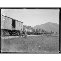 Près Paleti. Lac d'Ostrovo. Le train de muletiers et autre materiel sur la ligne Ostrovo Sorovitch. [légende d'origine]