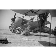 Sur le terrain de Mamaia, quatre IAR 80 du Grupul 9.