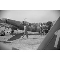 Sur le terrain de Mamaia, un IAR 80 numéroté 146 du Grupul 9.