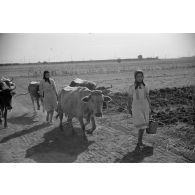 Des jeunes femmes et des bovins à proximité du terrain roumain de Mamaia.