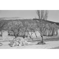 En Roumanie, paysage à proximité des rives de la mer Noire.