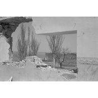 En Roumanie, paysage à proximité des rives de la mer Noire.