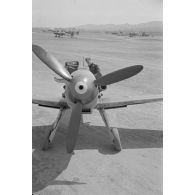 Un chasseur Messerschmitt Bf-109 G.