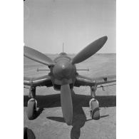 Un Junkers Ju-87 Stuka, les hélices dites "trompettes de Jéricho" sont visibles.