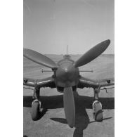 Un Junkers Ju-87 Stuka, les hélices dites "trompettes de Jéricho" sont visibles.