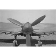 Un Junkers Ju-87 Stuka, les hélices dites "trompettes de Jéricho" sont visibles.