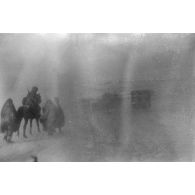 Dans une tempête de neige, la progression sur une route glacée.