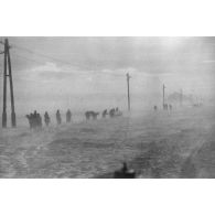 Dans une tempête de neige, la progression sur une route glacée.