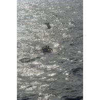 Jean-Jacques de Peretti, ministre de l'Outre-mer, et Marine Jacquemin, journaliste de TF1, lors d'une plongée sous-marine dans les eaux de Moruroa.