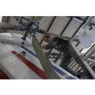 Un mécanicien s'affaire sur le rotor arrière d'un hélicoptère Super-Puma AS-332 dans un hangar de l’escadron de transport d’hélicoptères d’outre-mer (ETOM) 82 de Moruroa.