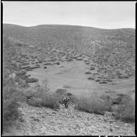 Opération dans les monts de Saïda. [Description en cours]