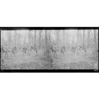 Courtes Chausses. Boyau et poste téléphonique du "nid d'aigle" (observatoire). Les opérateurs de la SPA. [légende d'origine]