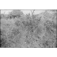 Une mitrailleuse MG-42 camouflée dont on aperçoit que le cache flamme.