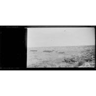 Mézéa. Désert de Syrie. Entonnoir où est dissimulée l'artillerie lourde. [légende d'origine]