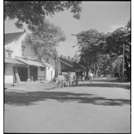 Buffle tirant une charrette de transport dans une rue de Saigon.