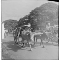Transport de passager tracté par des buffles dans une rue de Saigon.