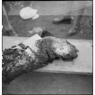 Exhumation de cadavres sur le charnier de Langson.