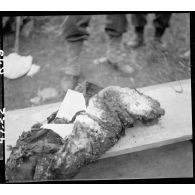 Exhumation de cadavres sur le charnier de Langson.