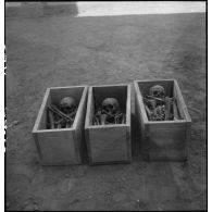 Exhumation de cadavres sur le charnier de Langson.