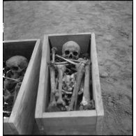 Exhumation de cadavres sur le charnier de Langson.