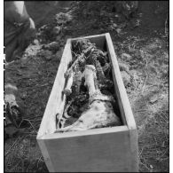 Exhumation de cadavres sur le charnier de Langson.