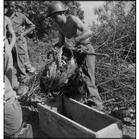 Exhumation de cadavres sur le charnier de Langson.