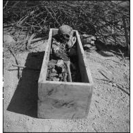 Exhumation de cadavres sur le charnier de Langson.