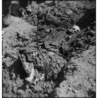 Exhumation de cadavres sur le charnier de Langson.