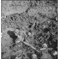 Exhumation de cadavres sur le charnier de Langson.