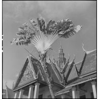 Le musée Albert Sarraut à Phnom-Penh.